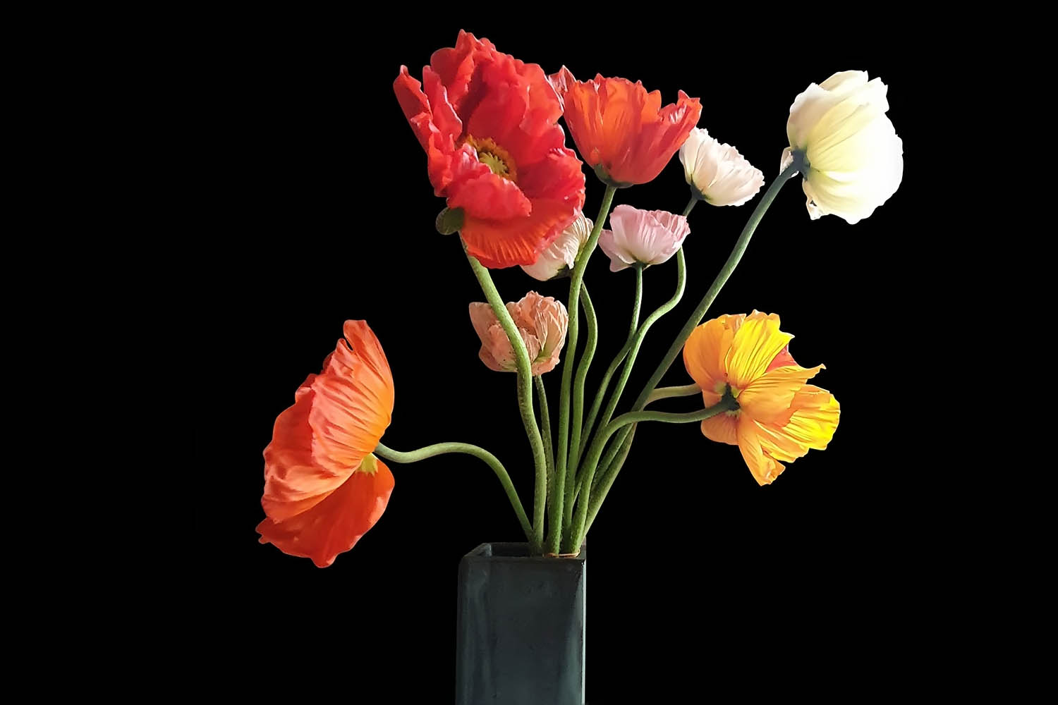 Photographe d’oeuvres d’art - Bouquet de coquelicots roses, rouges, jaunes et blancs dans un vase en poterie verte.